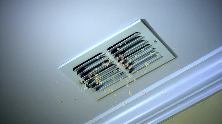 Best Air Duct Cleaning Cost  in Eming Island, FL